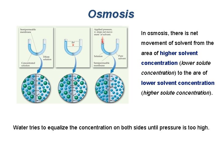 Osmosis In osmosis, there is net movement of solvent from the area of higher