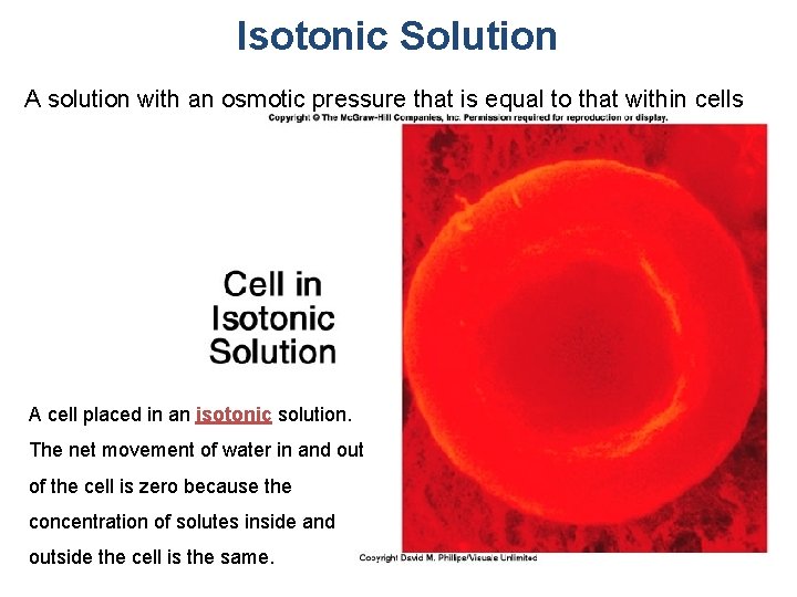 Isotonic Solution A solution with an osmotic pressure that is equal to that within