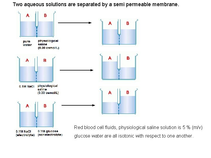 Two aqueous solutions are separated by a semi permeable membrane. Red blood cell fluids,