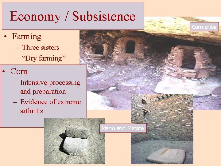 Economy / Subsistence • Farming – Three sisters – “Dry farming” • Corn –