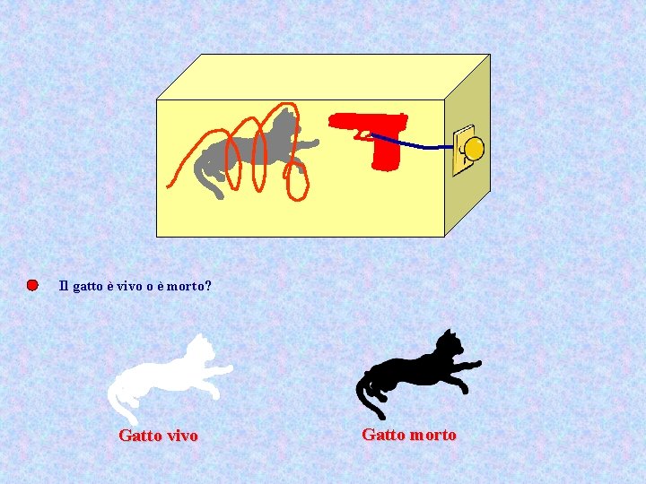 Il gatto è vivo o è morto? Gatto vivo Gatto morto 