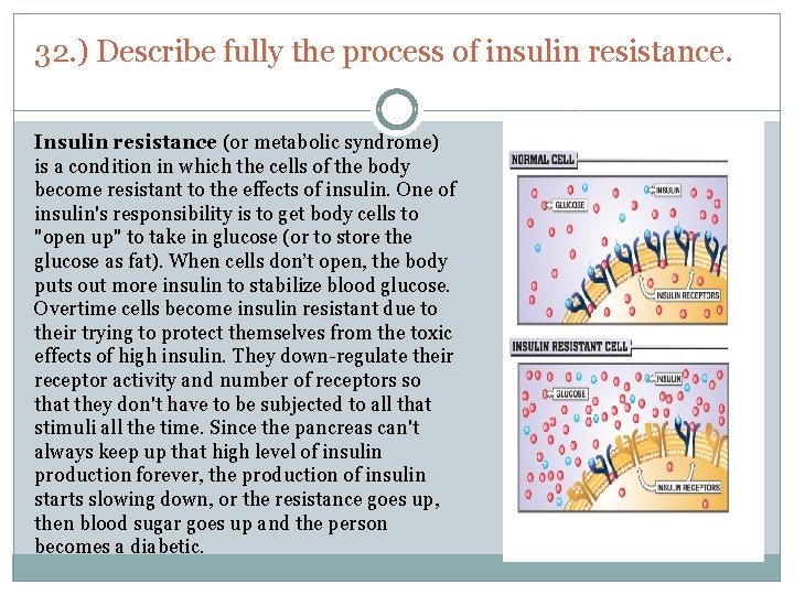 32. ) Describe fully the process of insulin resistance. Insulin resistance (or metabolic syndrome)