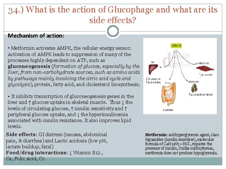 34. ) What is the action of Glucophage and what are its side effects?