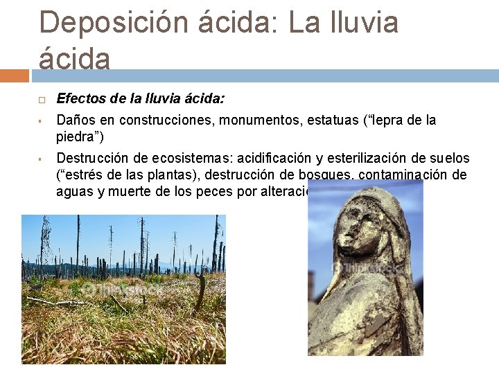 Deposición ácida: La lluvia ácida § § Efectos de la lluvia ácida: Daños en