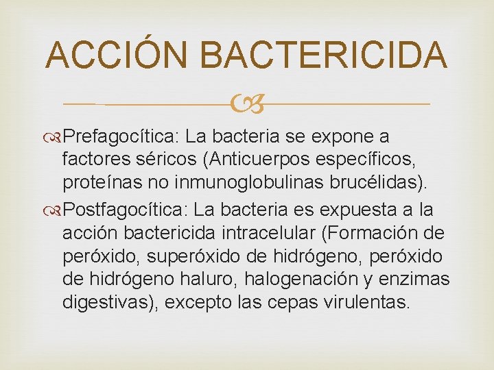 ACCIÓN BACTERICIDA Prefagocítica: La bacteria se expone a factores séricos (Anticuerpos específicos, proteínas no