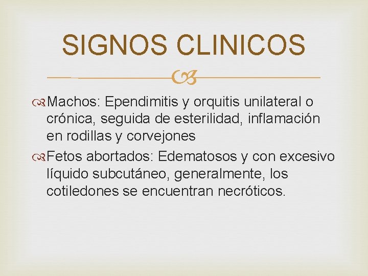 SIGNOS CLINICOS Machos: Ependimitis y orquitis unilateral o crónica, seguida de esterilidad, inflamación en