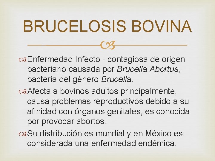 BRUCELOSIS BOVINA Enfermedad Infecto - contagiosa de origen bacteriano causada por Brucella Abortus, bacteria