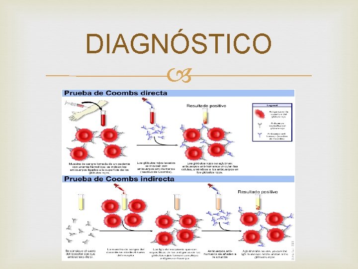 DIAGNÓSTICO 