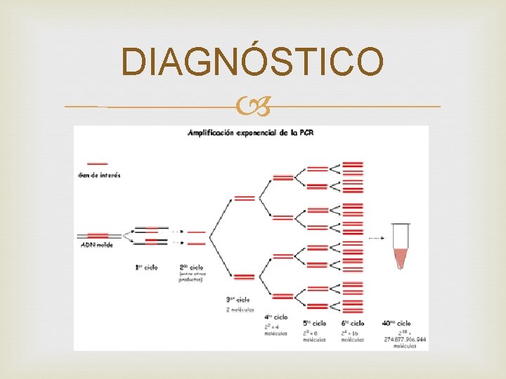 DIAGNÓSTICO 