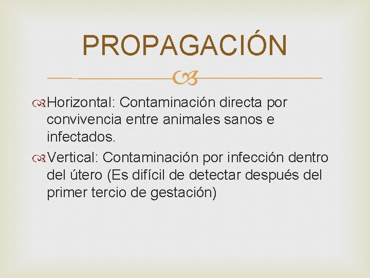 PROPAGACIÓN Horizontal: Contaminación directa por convivencia entre animales sanos e infectados. Vertical: Contaminación por