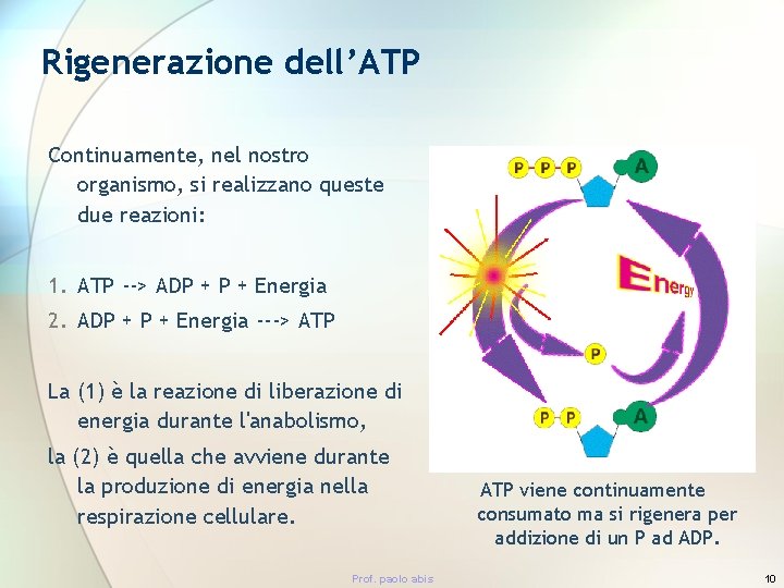 Rigenerazione dell’ATP Continuamente, nel nostro organismo, si realizzano queste due reazioni: 1. ATP -->