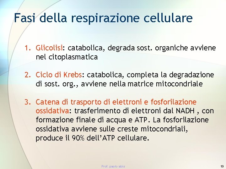 Fasi della respirazione cellulare 1. Glicolisi: catabolica, degrada sost. organiche avviene nel citoplasmatica 2.