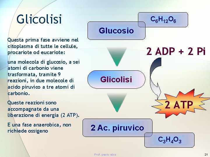 Glicolisi C 6 H 12 O 6 Glucosio Questa prima fase avviene nel citoplasma