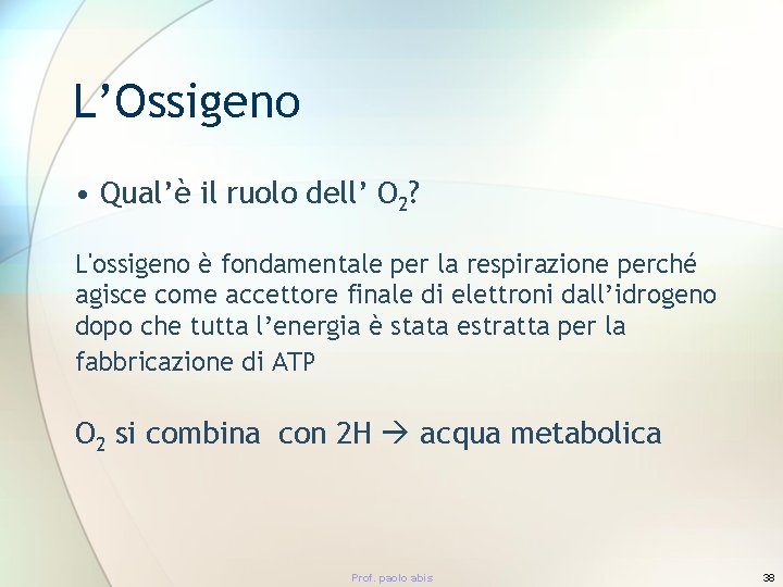 L’Ossigeno • Qual’è il ruolo dell’ O 2? L'ossigeno è fondamentale per la respirazione