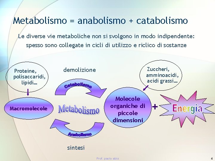 Metabolismo = anabolismo + catabolismo Le diverse vie metaboliche non si svolgono in modo