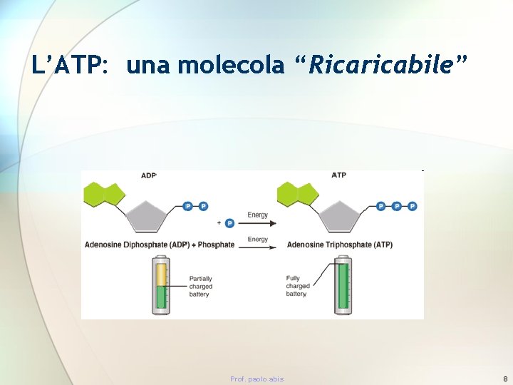 L’ATP: una molecola “Ricaricabile” Prof. paolo abis 8 