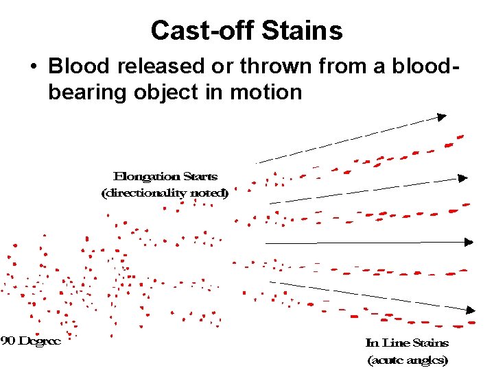 Cast-off Stains • Blood released or thrown from a bloodbearing object in motion 
