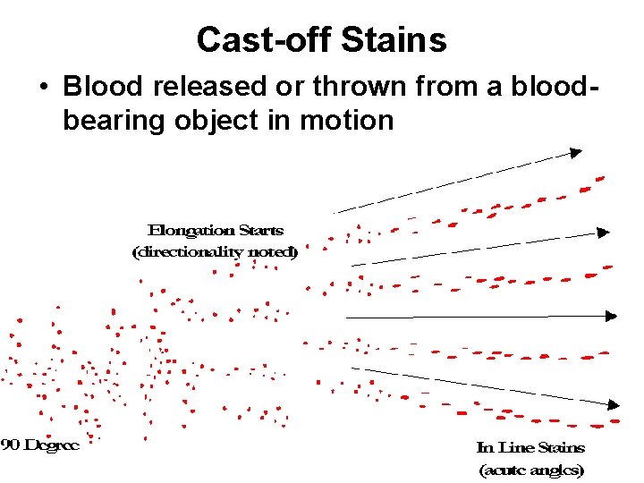 Cast-off Stains • Blood released or thrown from a bloodbearing object in motion Cast-off Stains • Blood released or thrown from a bloodbearing object in motion