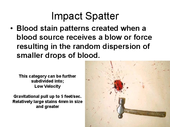 Impact Spatter • Blood stain patterns created when a blood source receives a blow Impact Spatter • Blood stain patterns created when a blood source receives a blow