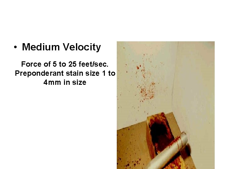 • Medium Velocity Force of 5 to 25 feet/sec. Preponderant stain size 1 • Medium Velocity Force of 5 to 25 feet/sec. Preponderant stain size 1