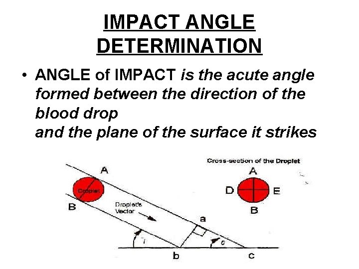 IMPACT ANGLE DETERMINATION • ANGLE of IMPACT is the acute angle formed between the IMPACT ANGLE DETERMINATION • ANGLE of IMPACT is the acute angle formed between the