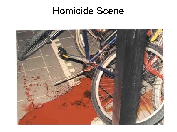 Homicide Scene 