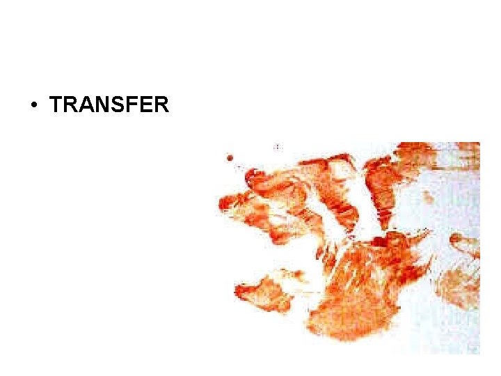 • TRANSFER • TRANSFER