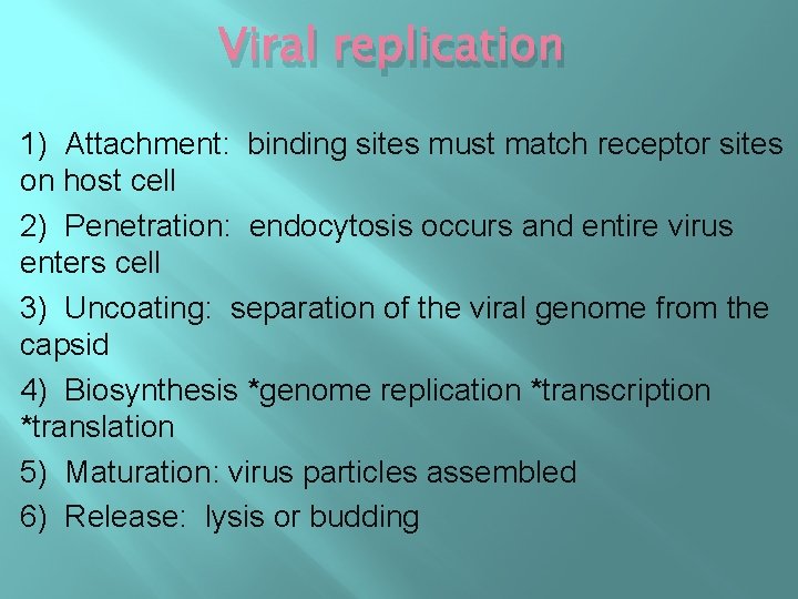 Viral replication 1) Attachment: binding sites must match receptor sites on host cell 2)