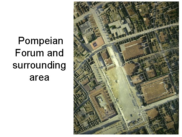 Pompeian Forum and surrounding area Pompeian Forum and surrounding area