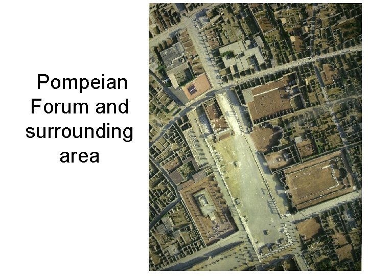  Pompeian Forum and surrounding area 