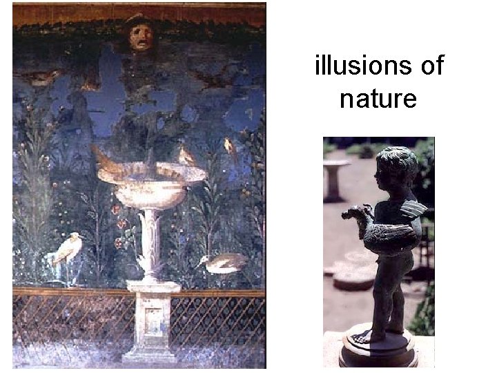 illusions of nature 