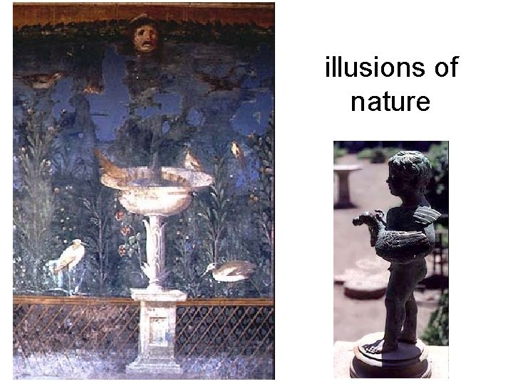 illusions of nature illusions of nature
