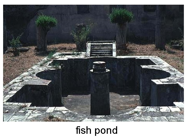 fish pond 