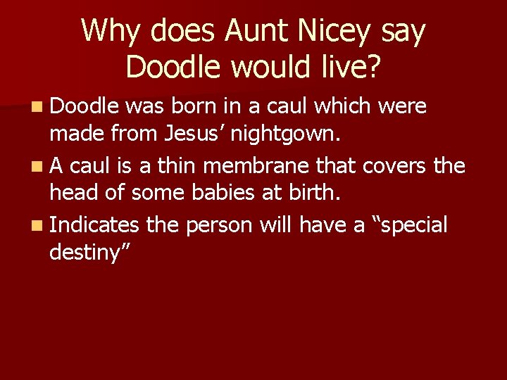 Why does Aunt Nicey say Doodle would live? n Doodle was born in a