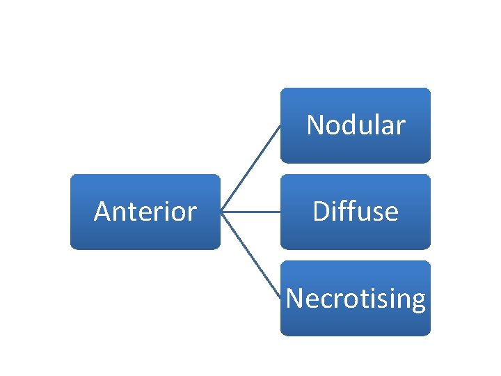 Nodular Anterior Diffuse Necrotising 