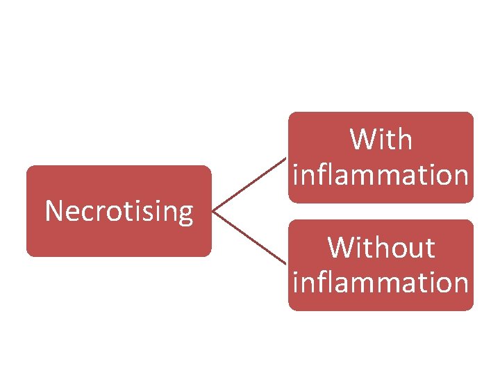 Necrotising With inflammation Without inflammation 