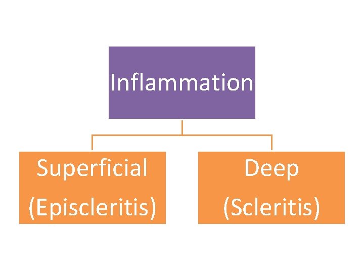 Inflammation Superficial (Episcleritis) Deep (Scleritis) 