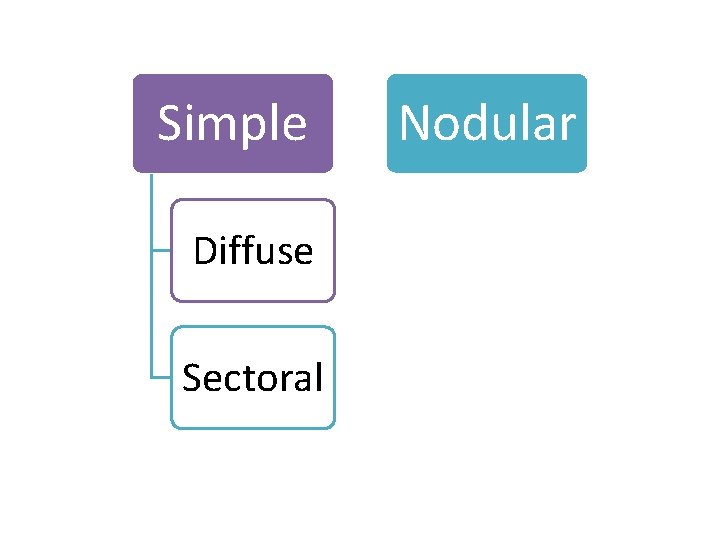 Simple Diffuse Sectoral Nodular 
