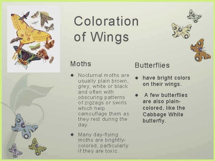 Coloration of Wings Moths Nocturnal moths are usually plain brown, grey, white or black