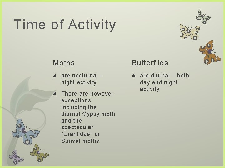 Time of Activity Moths are nocturnal – night activity There are however exceptions, including