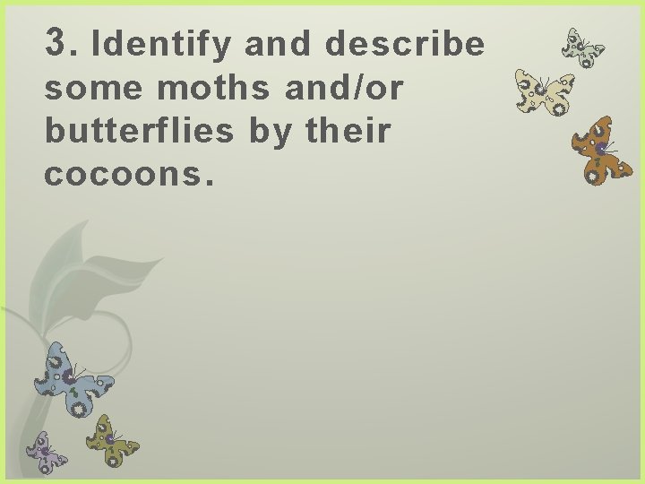 3. Identify and describe some moths and/or butterflies by their cocoons. 