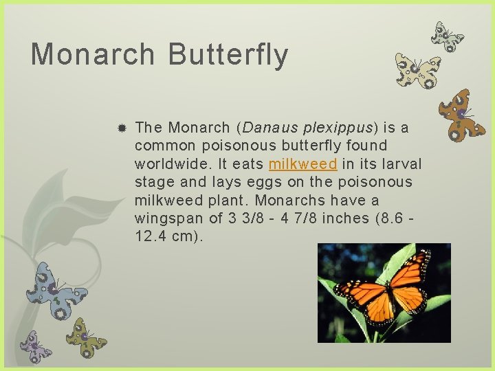 Monarch Butterfly The Monarch (Danaus plexippus) is a common poisonous butterfly found worldwide. It