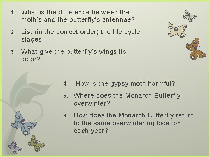 1. What is the difference between the moth’s and the butterfly’s antennae? 2. List