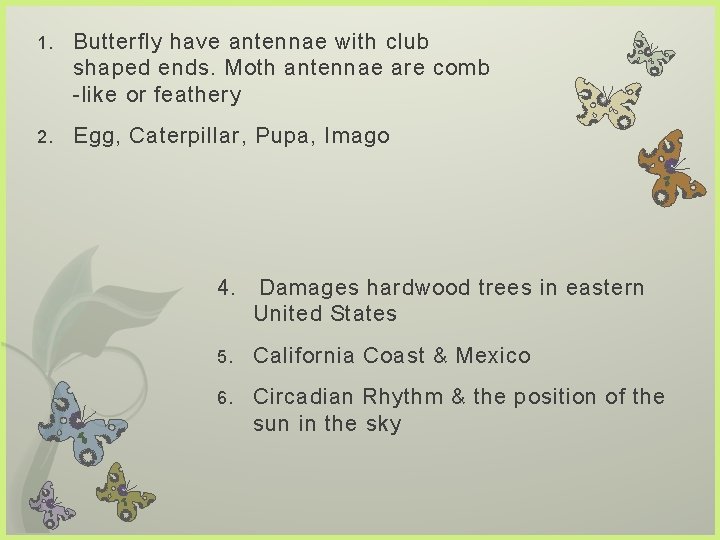 1. Butterfly have antennae with club shaped ends. Moth antennae are comb -like or