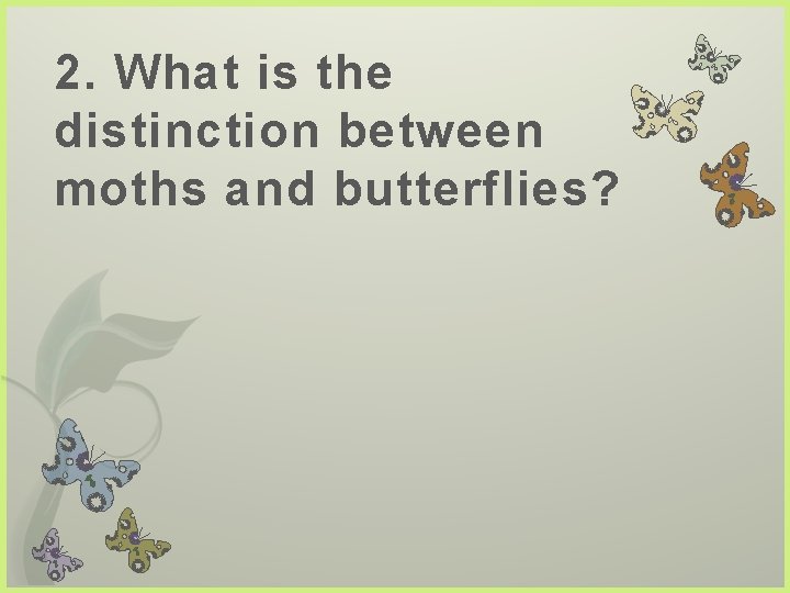 2. What is the distinction between moths and butterflies? 