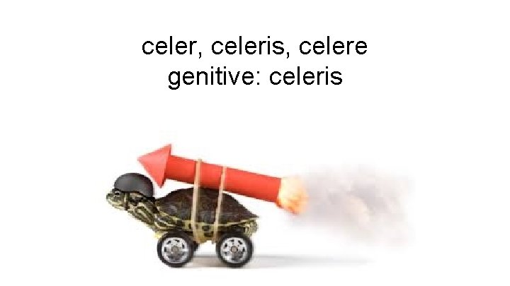 celer, celeris, celere genitive: celeris 