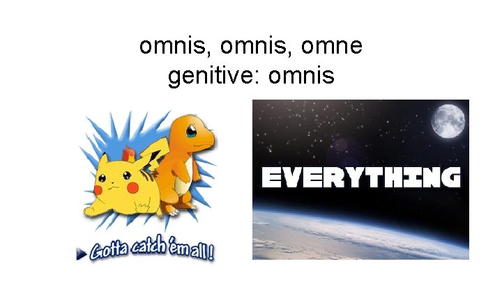 omnis, omne genitive: omnis 