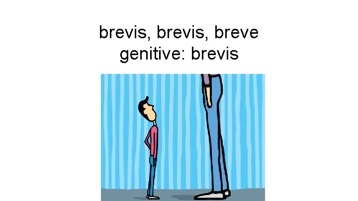 brevis, breve genitive: brevis 