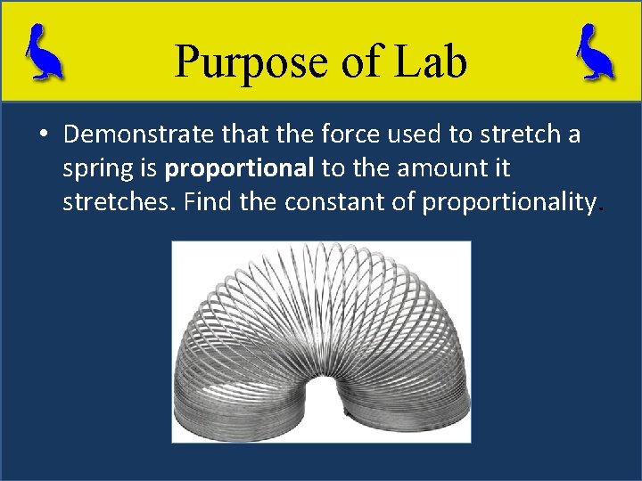 Purpose of Lab • Demonstrate that the force used to stretch a spring is