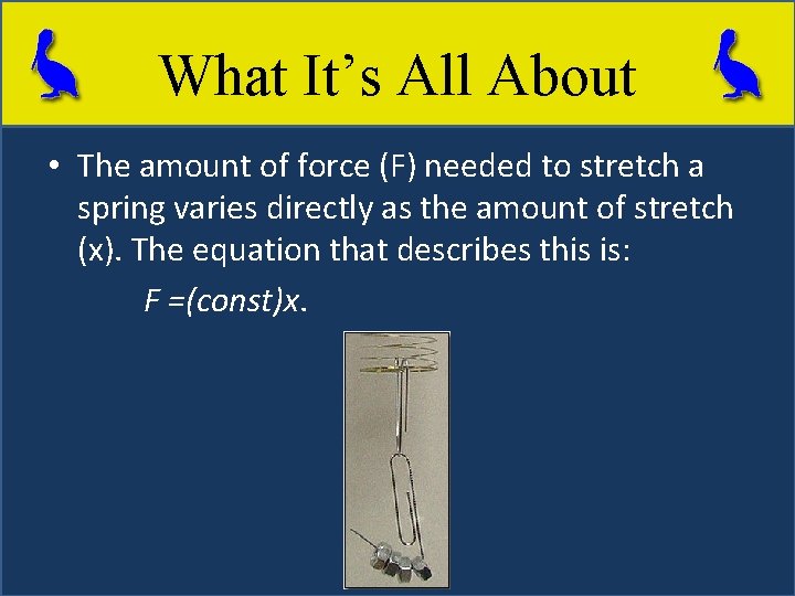 What It’s All About • The amount of force (F) needed to stretch a